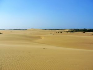 VENEZUELA: Coro and the Médanos Nationalpark