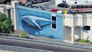 PORTUGAL: Madeira Island – Streetart Funchal – Colorful Doors, Whale Murals and Garbage Art