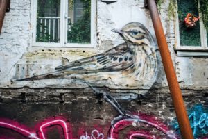 NETHERLANDS: Streetart Amsterdam – Sint Nicolaasstraat 19 – Art Space “SECRET GARDEN”