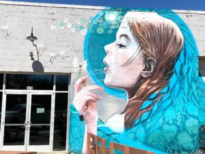 USA: Streetart Asheville – North-Carolina – Graffiti and Urban Art Collection