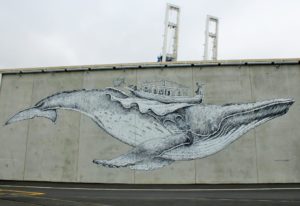 NEW ZEALAND: Streetart Dunedin – Urban Art Collection in Otepoti