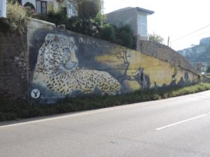 SRI LANKA: Streetart Nuwara Eliya – Mountain Graffiti and Urban Art Collection