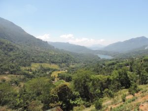 SRI LANKA: Udapalatha Mountain Village – Tea Plantations, Vegetables & Waterfalls