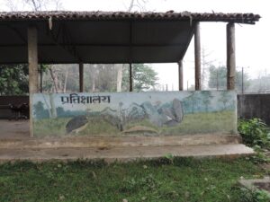 NEPAL: Ratnanagar – Streetart Sauraha – Urban Art at the Door to the Chitwan National Park