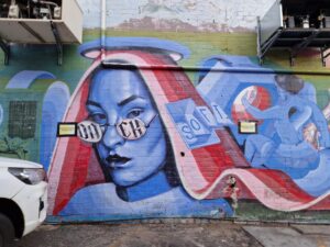 AUSTRALIA: Perth – Northbridge District – TAFE Murals, Form Public Project 2015 & Streetside Festival